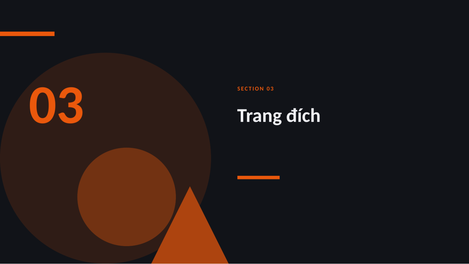 Trang chiếu 7 — Báo cáo phân tích lưu lượng tìm kiếm