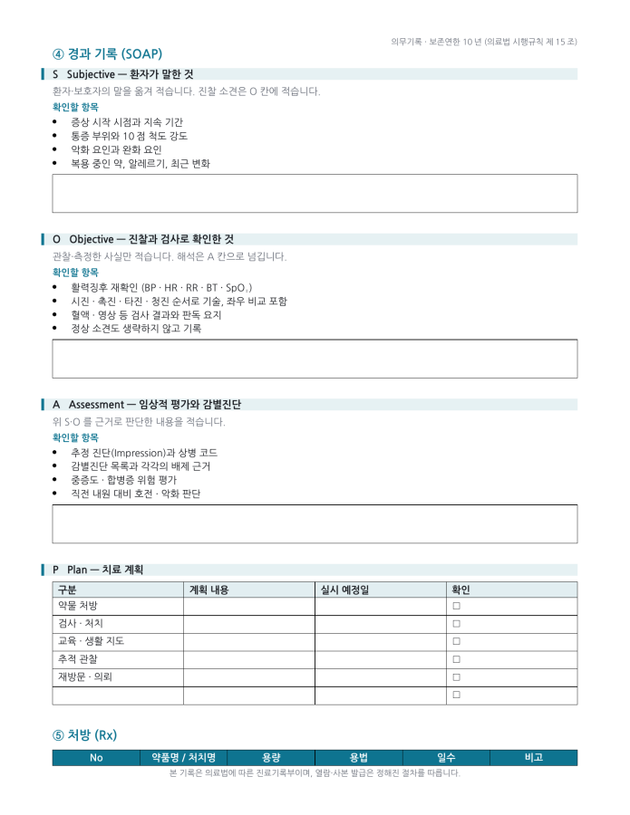 페이지 2 — 진료 기록 양식