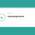 ស្លាយ 7