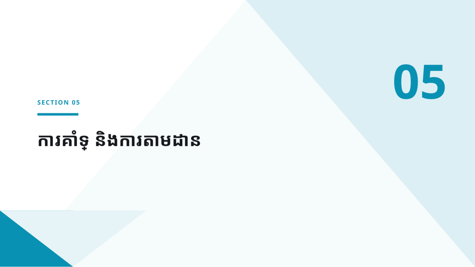 ស្លាយ 11 — ឯកសារណែនាំអតិថិជនថ្មី