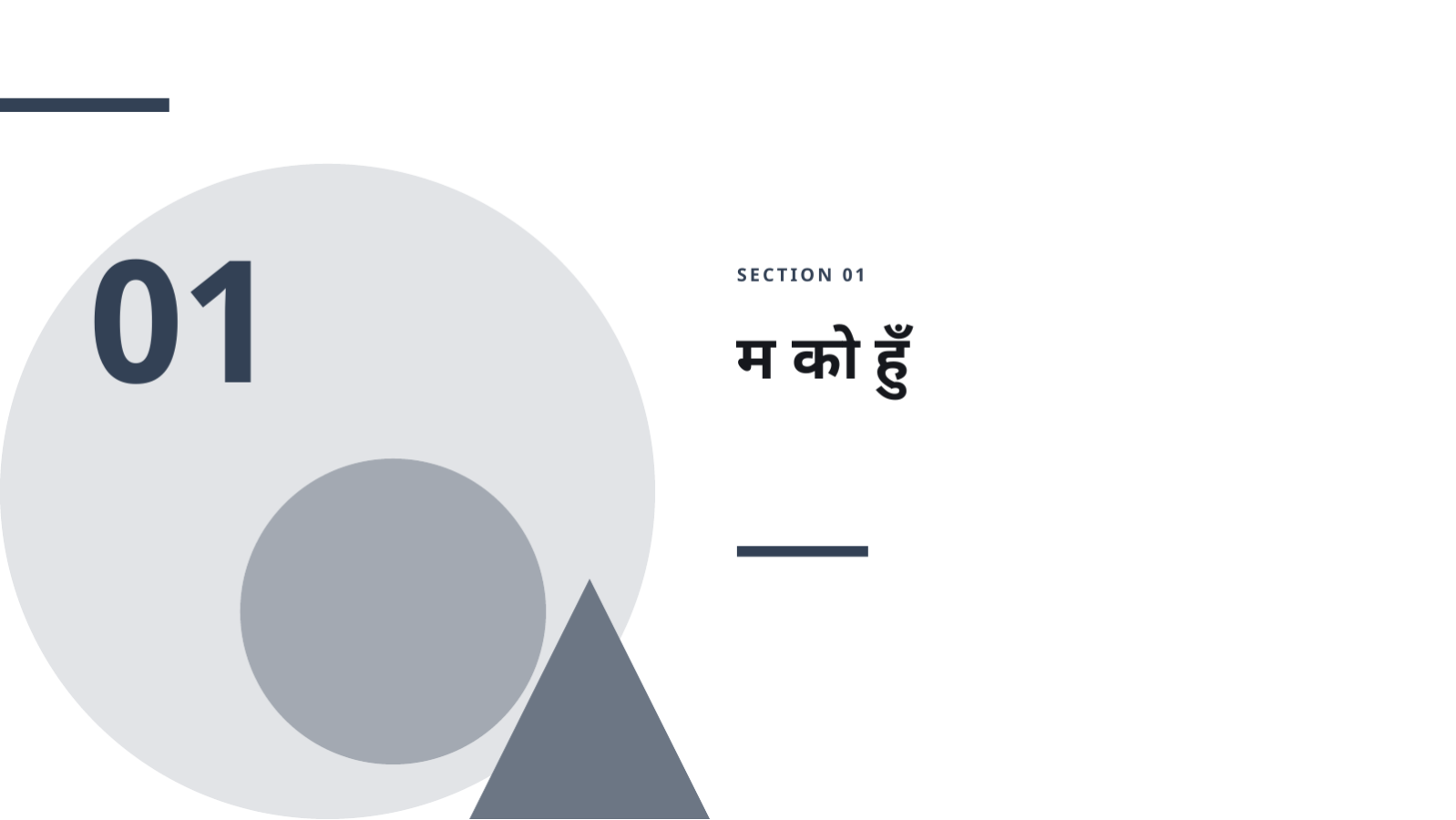 स्लाइड 3 — डिजाइनर पोर्टफोलियो