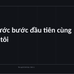 Trang chiếu 12