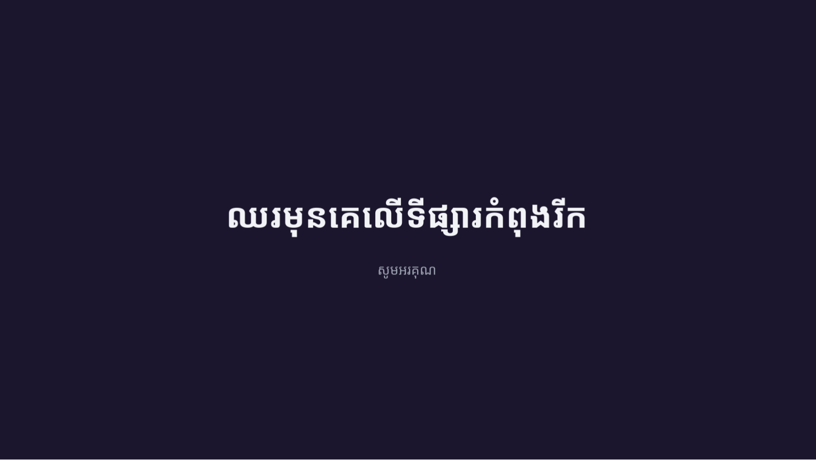ស្លាយ 12 — ឯកសារវិភាគទំហំទីផ្សារ