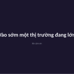 Trang chiếu 12