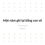 Trang chiếu 10