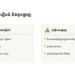 ស្លាយ 11
