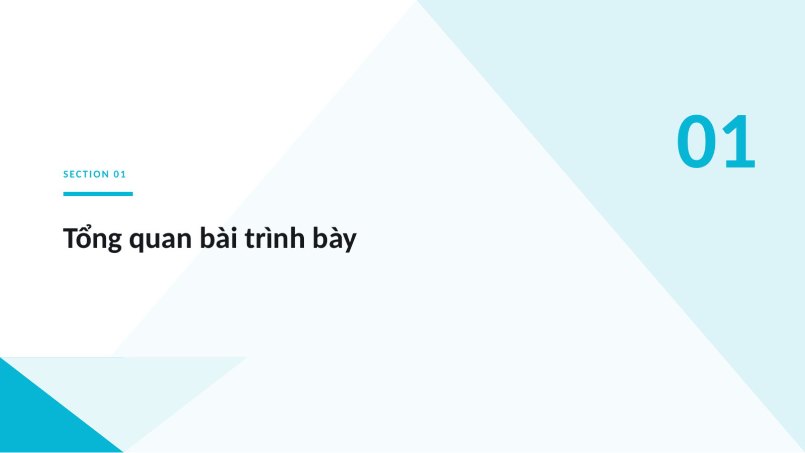 Trang chiếu 3 — Tài liệu hội nghị khoa học