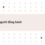 Trang chiếu 5