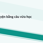 Trang chiếu 10