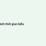 Trang chiếu 3