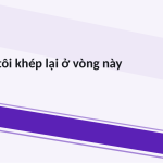 Trang chiếu 10