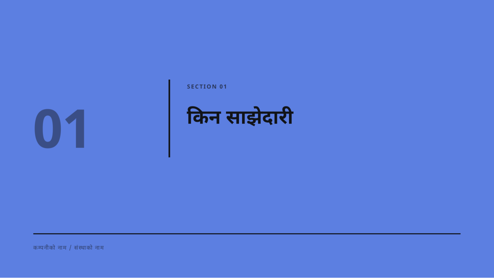 स्लाइड 3 — साझेदारी प्रस्ताव