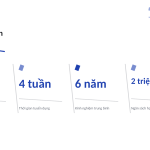 Trang chiếu 10