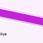 ស្លាយ 9
