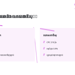 ស្លាយ 11