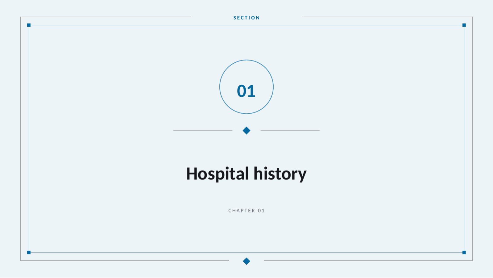 Slide 3 — Hospital Introduction Deck