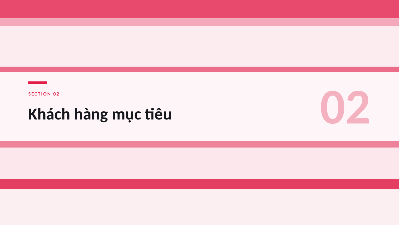 Trang chiếu 5 — Tài liệu ra mắt sản phẩm mới