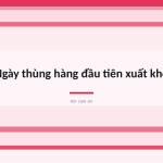 Trang chiếu 10