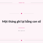 Trang chiếu 10