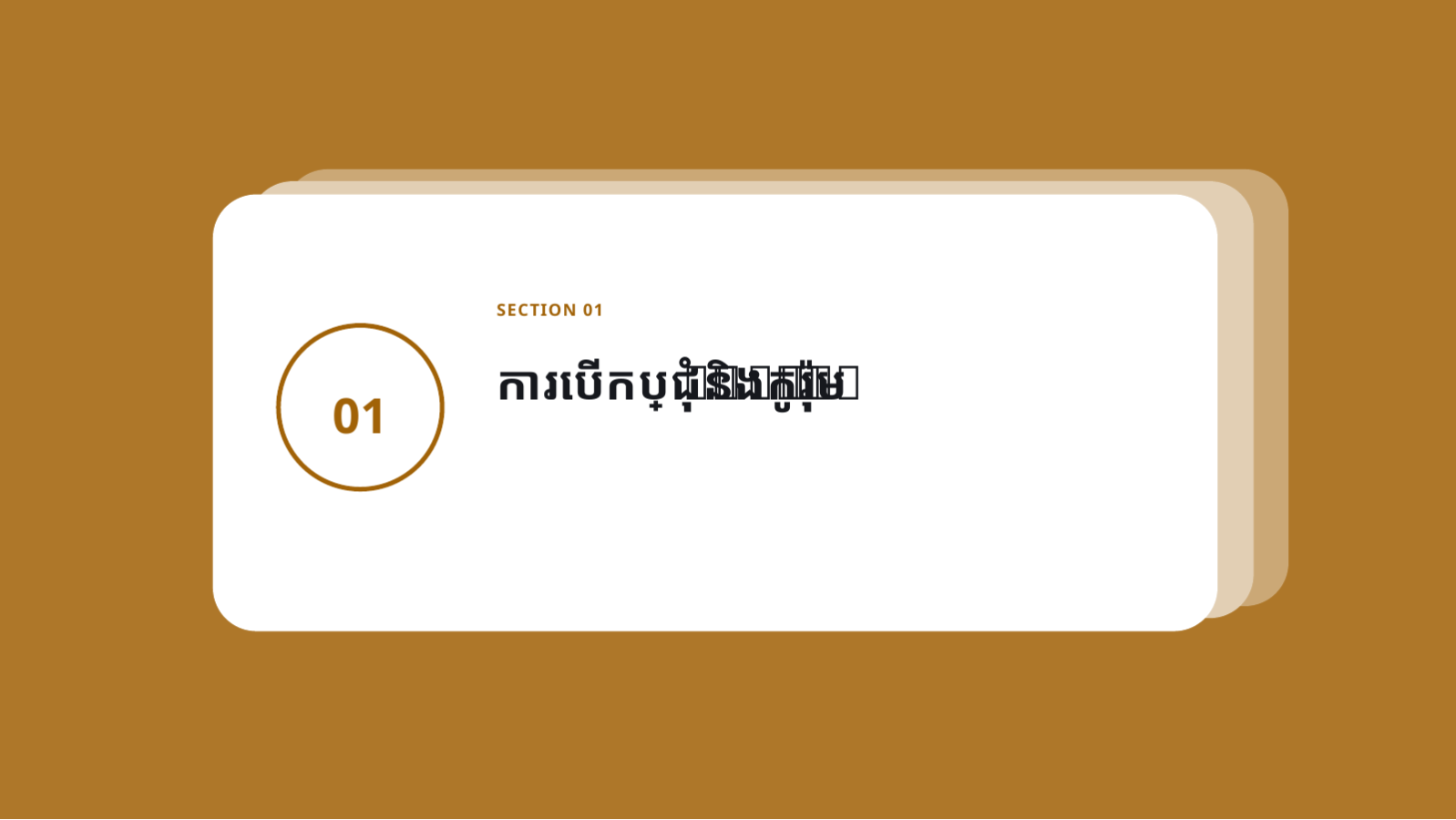 ស្លាយ 3 — ឯកសារជូន ក្រុមប្រឹក្សាភិបាល