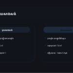 ស្លាយ 11