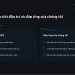 Trang chiếu 5