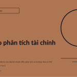 Trang chiếu 1