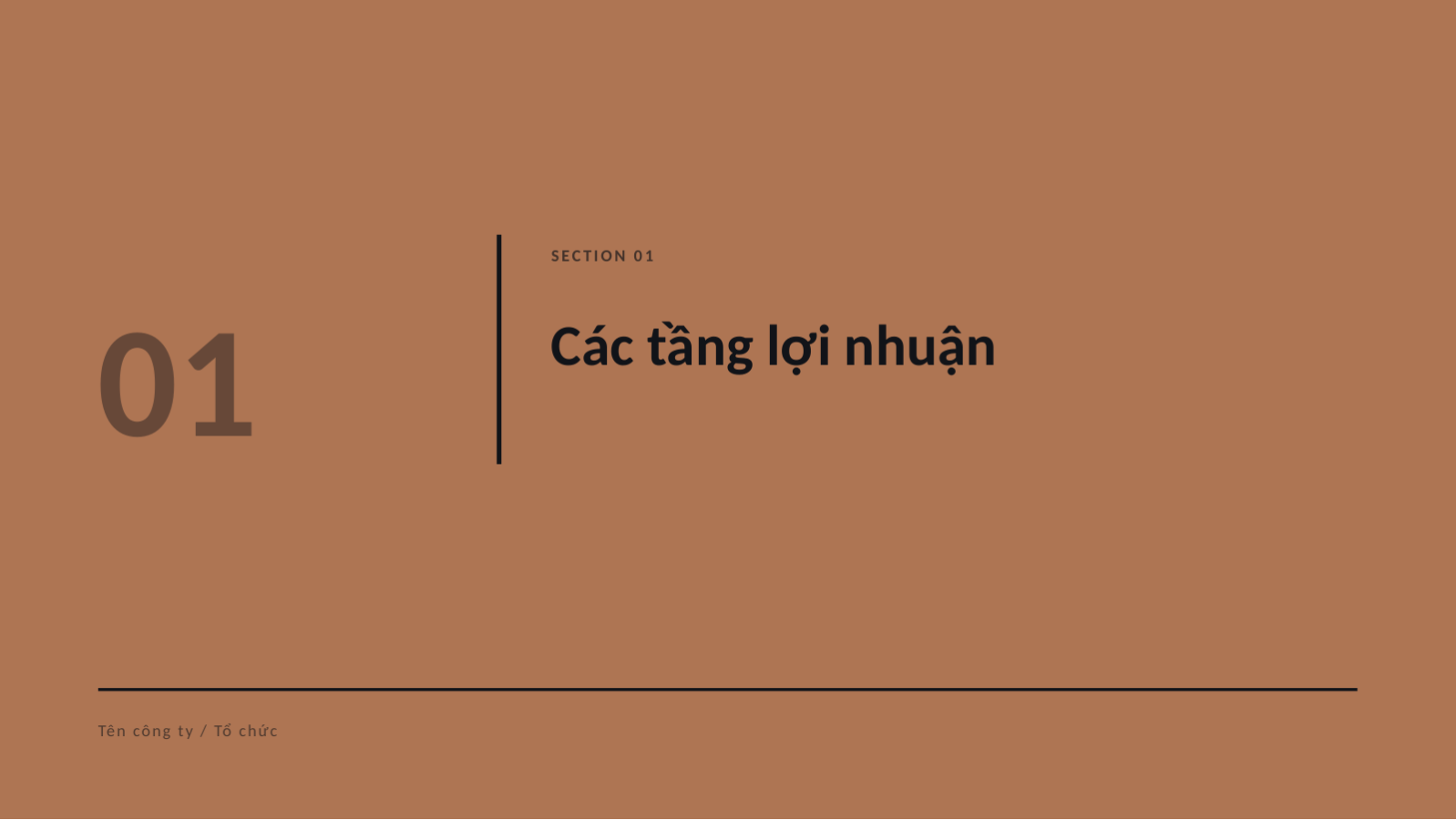 Trang chiếu 3 — Báo cáo phân tích tài chính