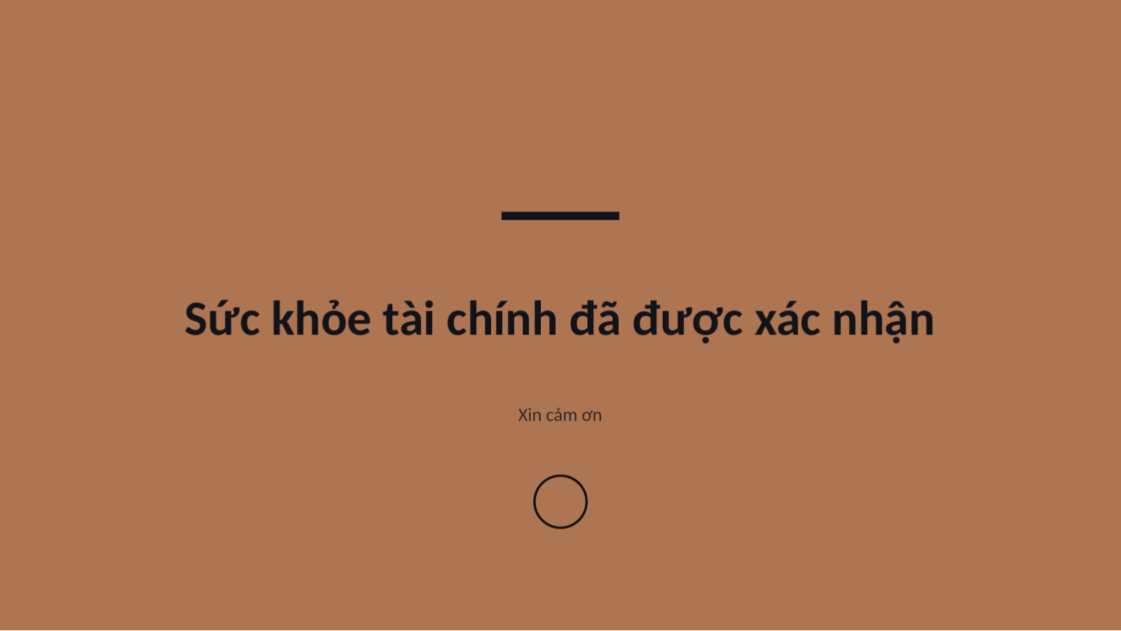 Trang chiếu 8 — Báo cáo phân tích tài chính