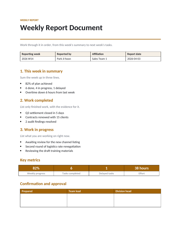 Page 1 — Weekly Report Document