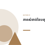 ស្លាយ 3