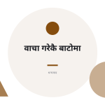 स्लाइड 12