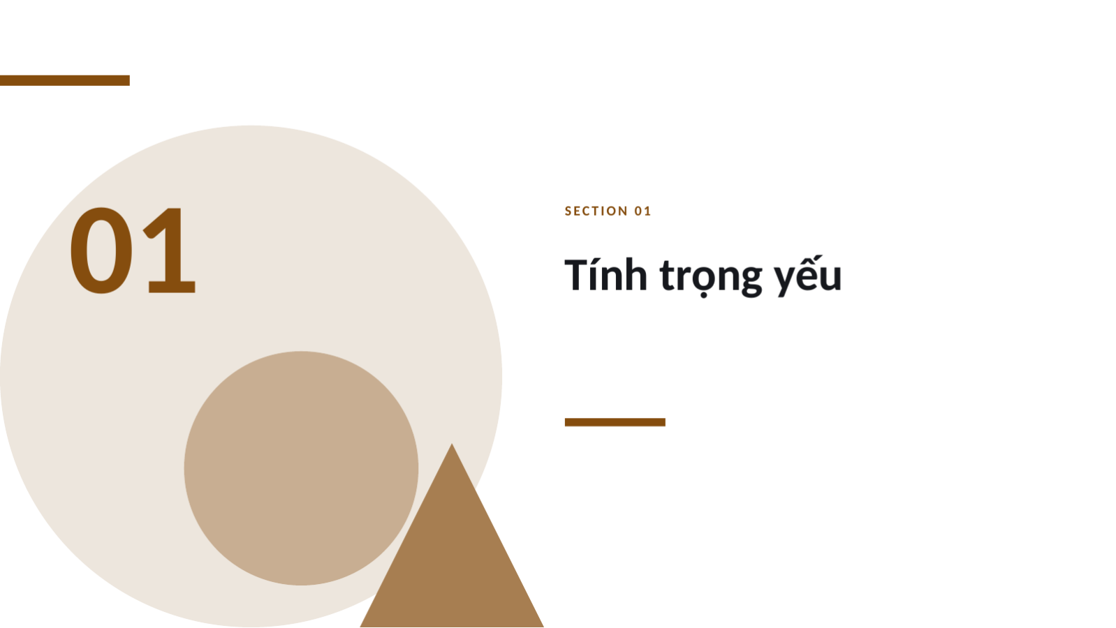 Trang chiếu 3 — Báo cáo phát triển bền vững