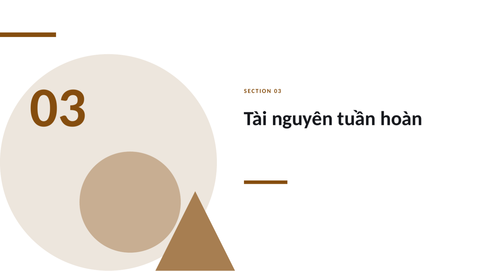 Trang chiếu 7 — Báo cáo phát triển bền vững