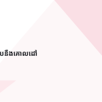 ស្លាយ 5