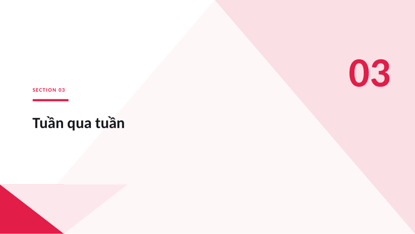 Trang chiếu 7 — Báo cáo kết quả chiến dịch