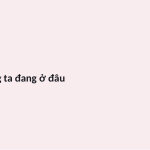 Trang chiếu 3