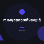 ស្លាយ 12