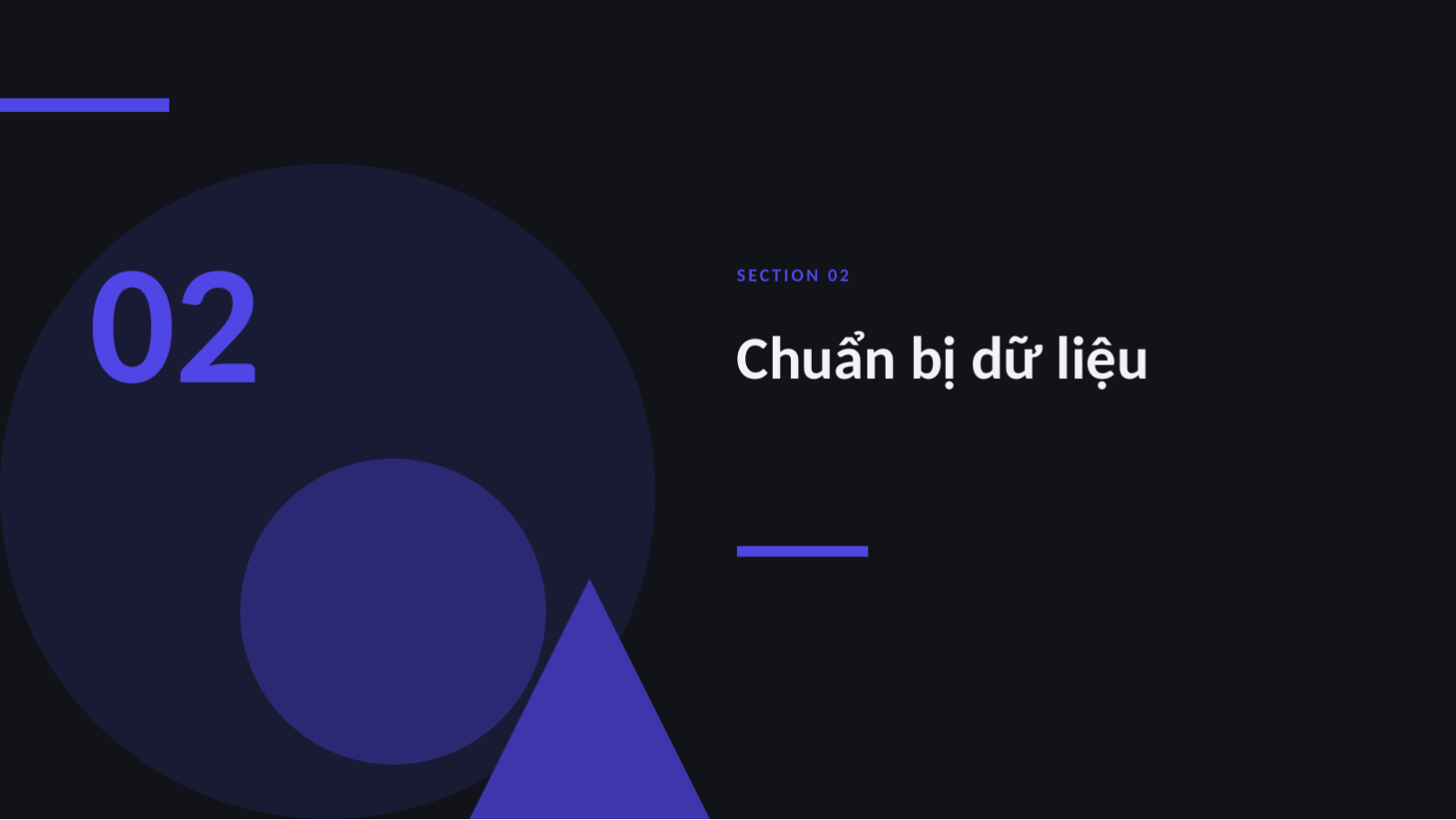 Trang chiếu 5 — Tài liệu trình bày dự án AI