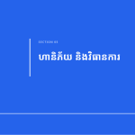 ស្លាយ 11