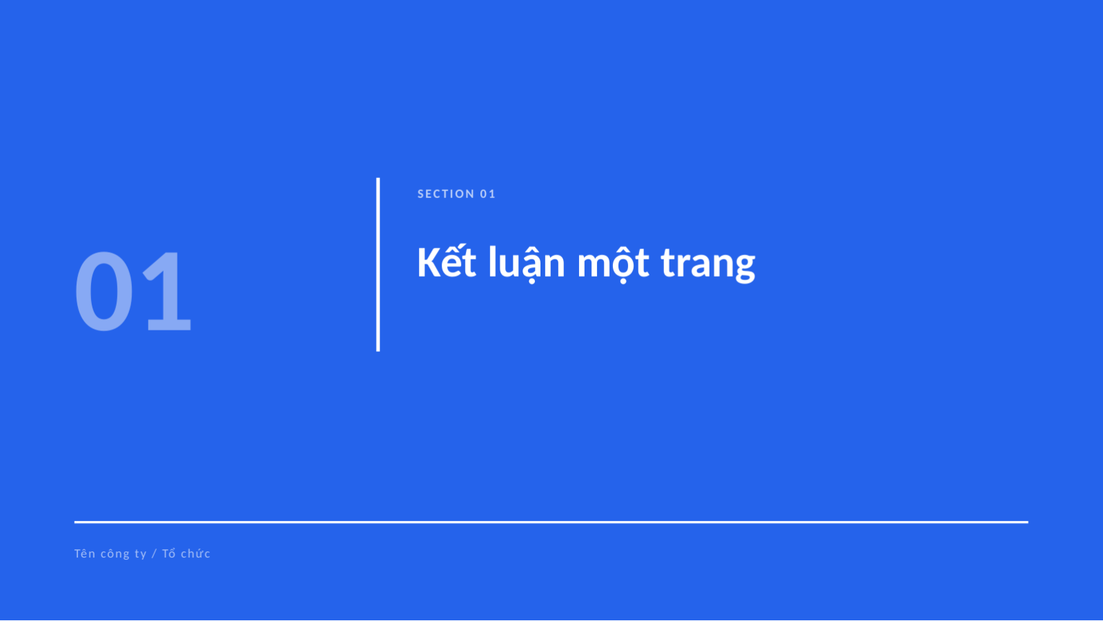 Trang chiếu 3 — Tóm tắt báo cáo ban lãnh đạo