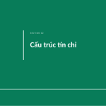 Trang chiếu 5