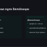 ស្លាយ 7