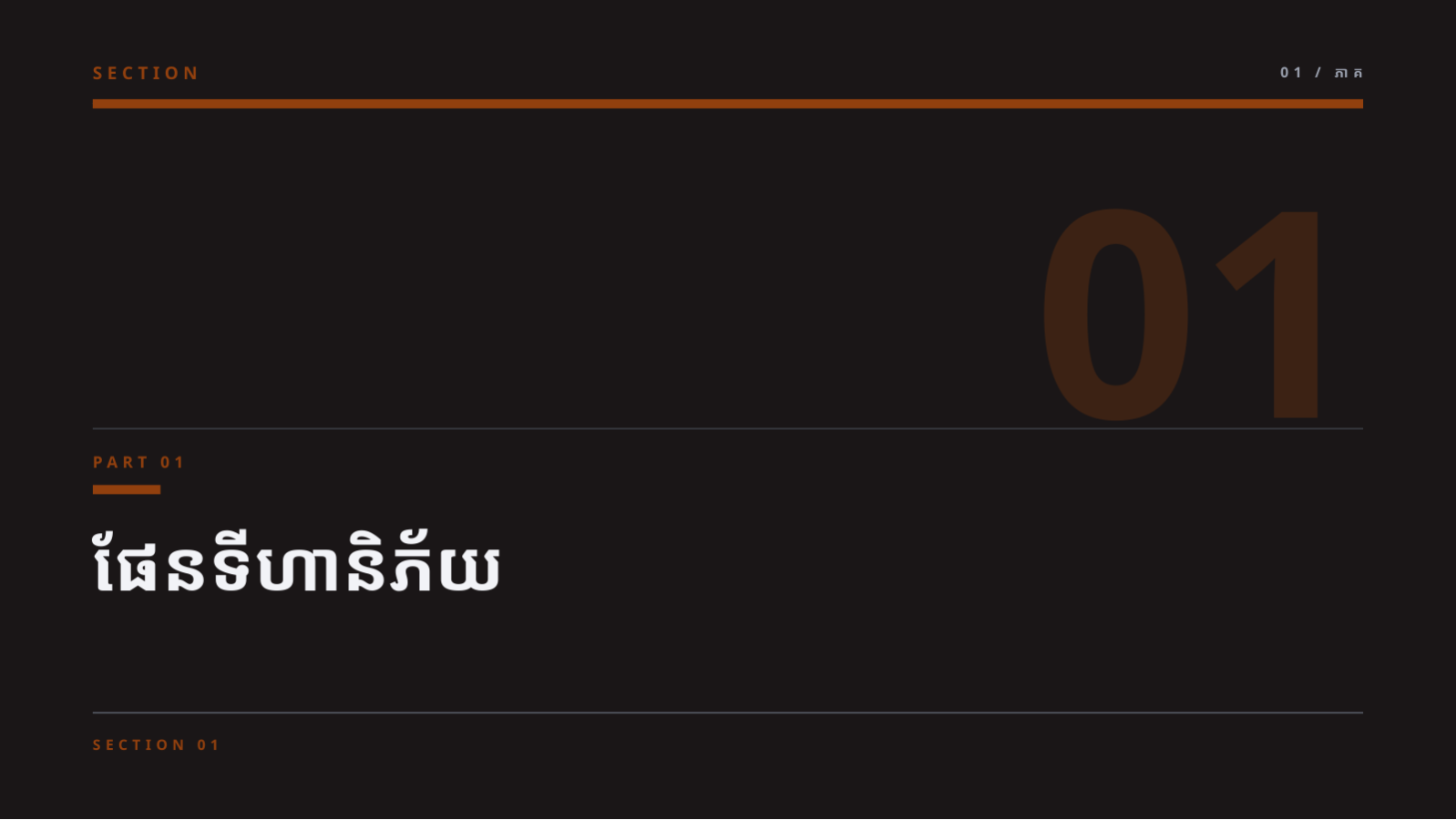 ស្លាយ 3 — របាយការណ៍គ្រប់គ្រងហានិភ័យ