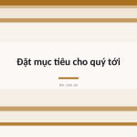 Trang chiếu 12
