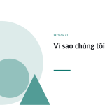 Trang chiếu 3