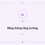 Trang chiếu 3