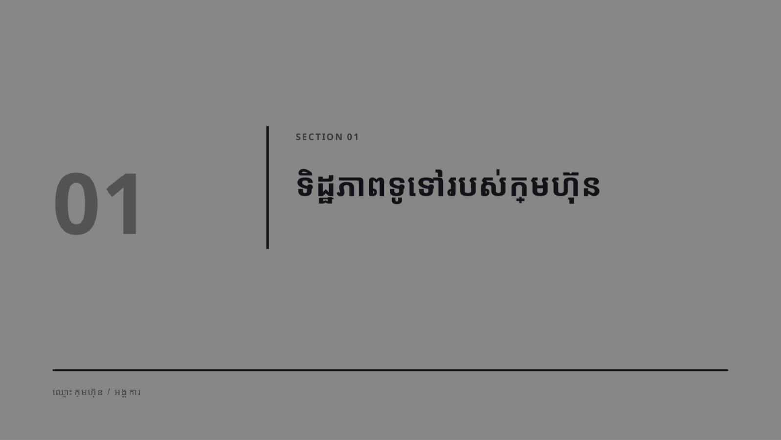 ស្លាយ 3 — ឯកសារណែនាំទីភ្នាក់ងារ
