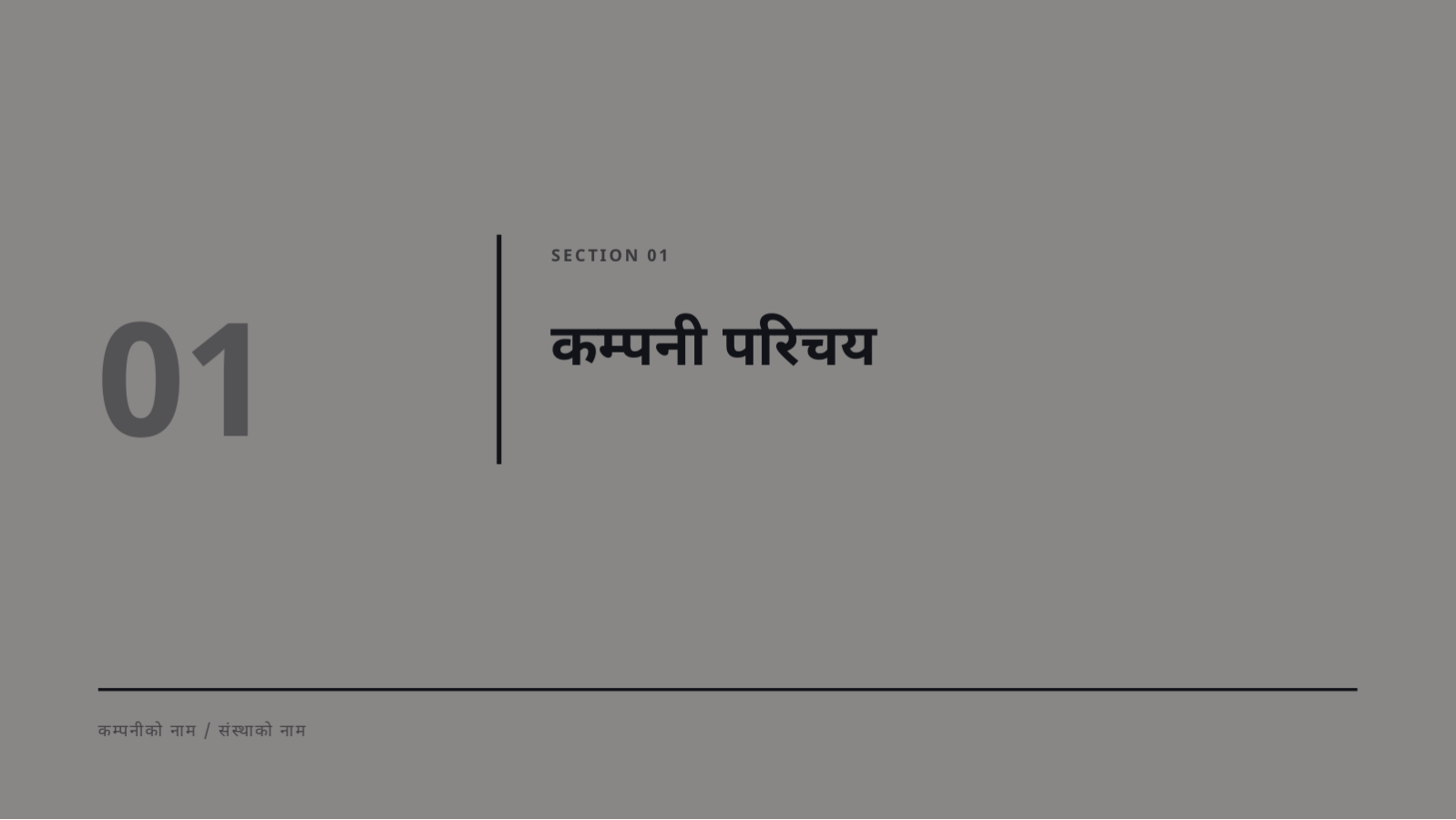 स्लाइड 3 — एजेन्सी परिचय सामग्री