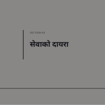स्लाइड 5
